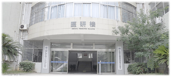 建筑的摆设布局 AI 生成的内容可能不正确。 建筑的摆设布局 AI 生成的内容可能不正确。